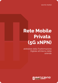 Rete Mobile Privata  (5G xNPN) 